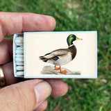 Matches • Mallard Duck • Home Decor for Candles and Incense