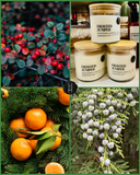 (Preorder) Frosted Juniper