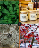 (Preorder) Sweater Weather